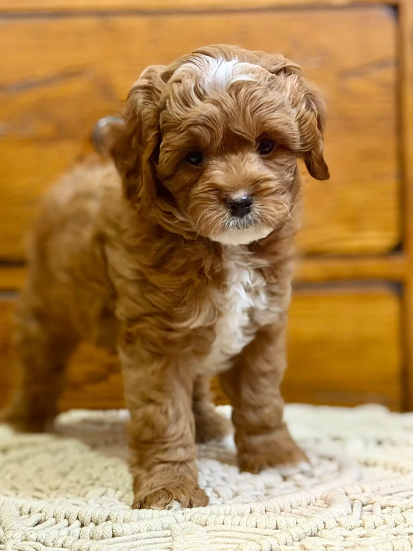 Max