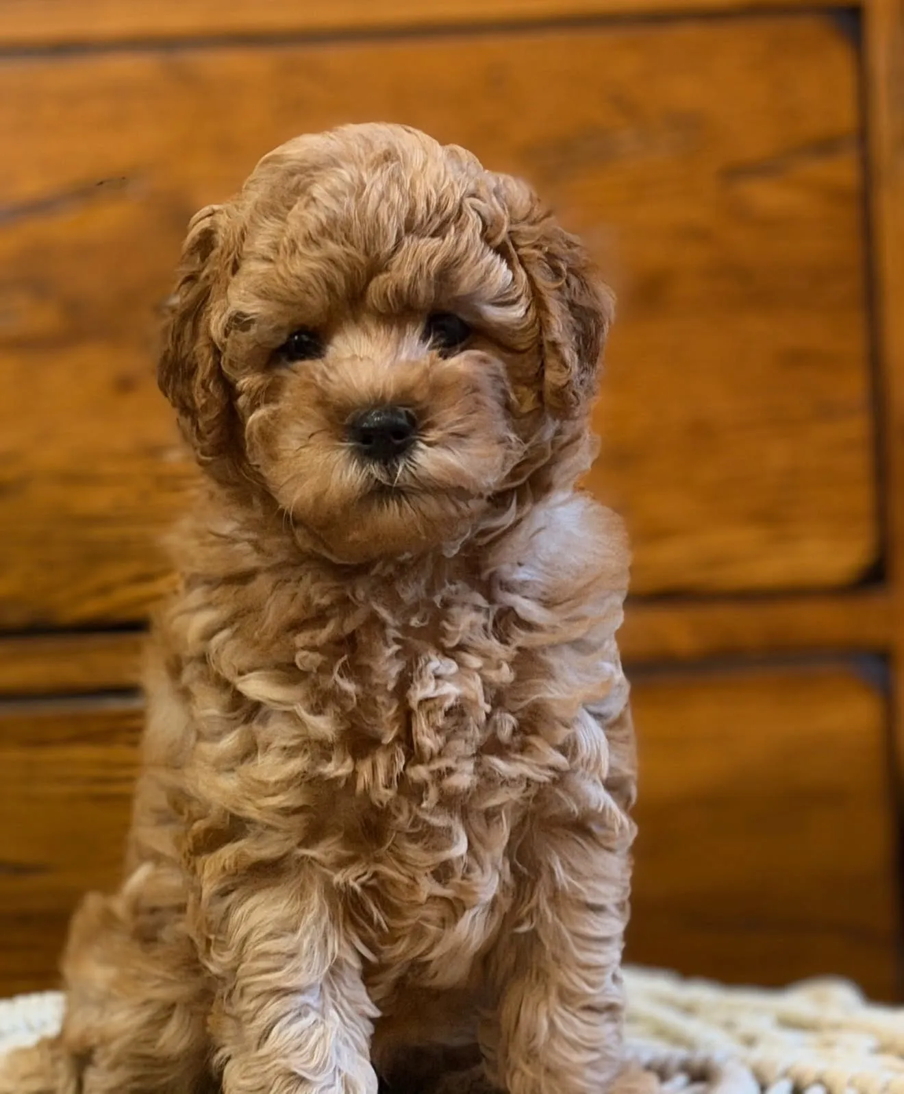 Winnie