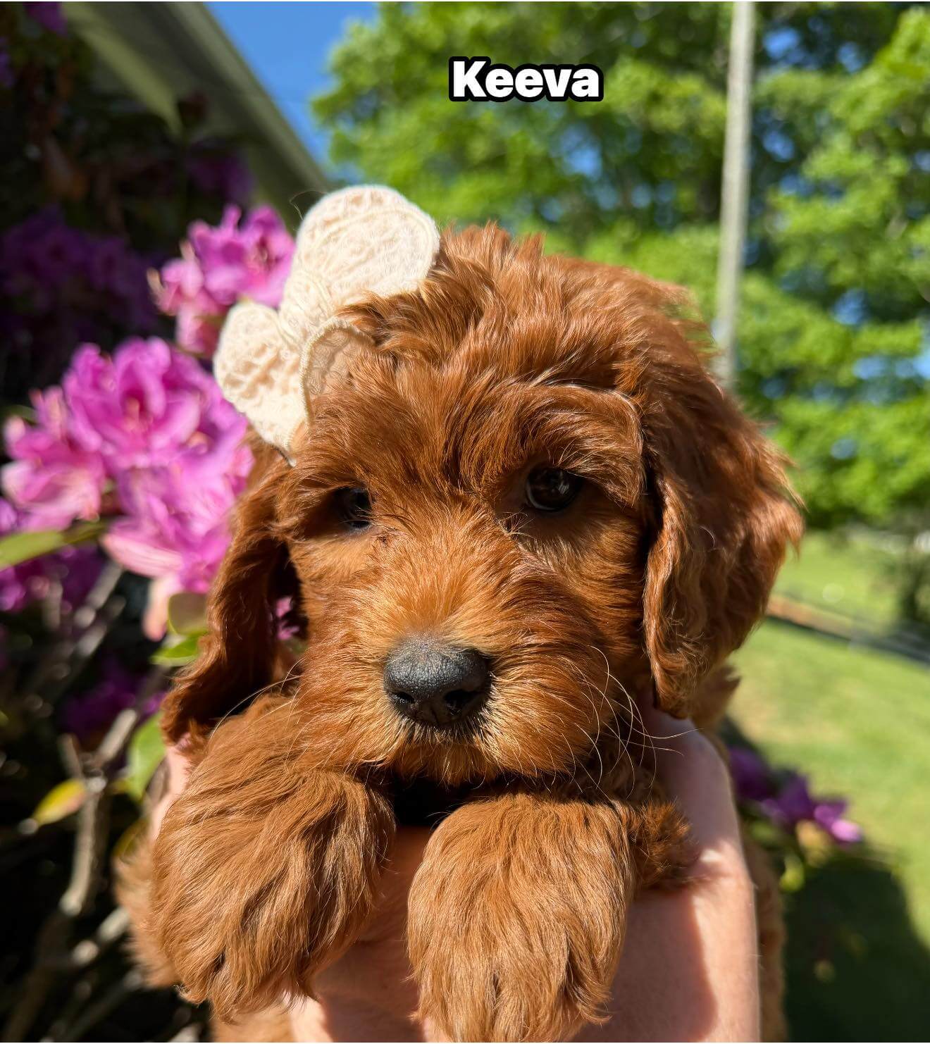Keeva