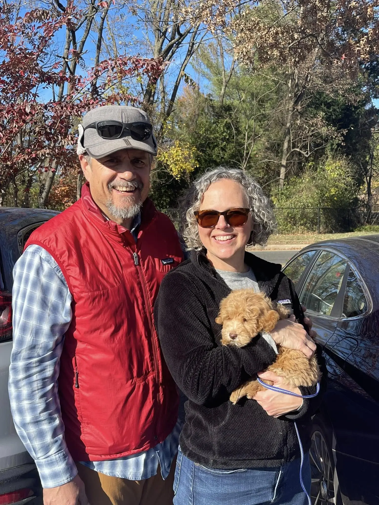 Puppy going to new home