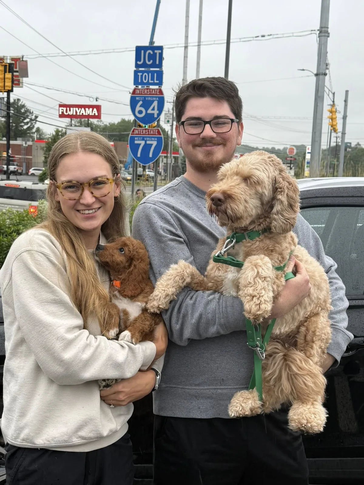 Puppy going to new home
