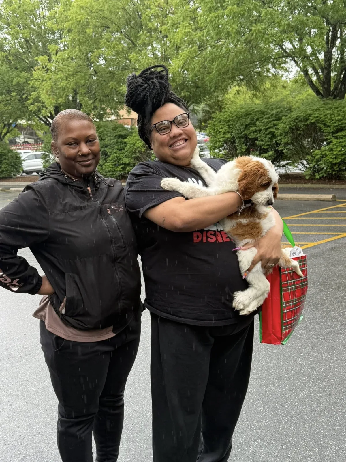 Puppy going to new home